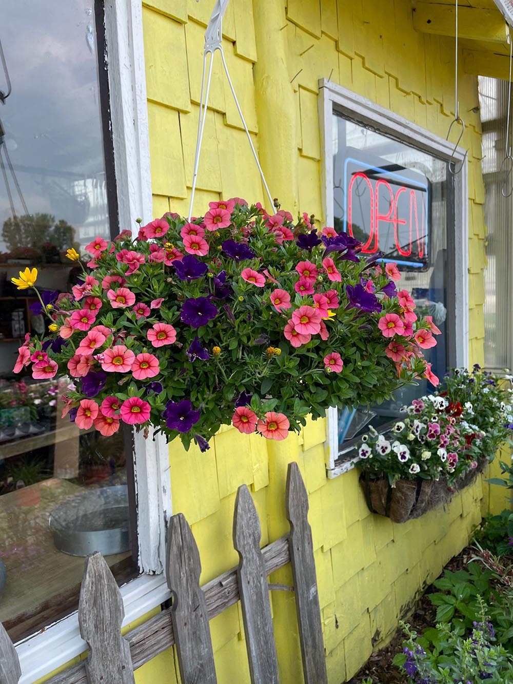 1. Clifton Park's Premier Flower Emporium: Blossoms & Blooms